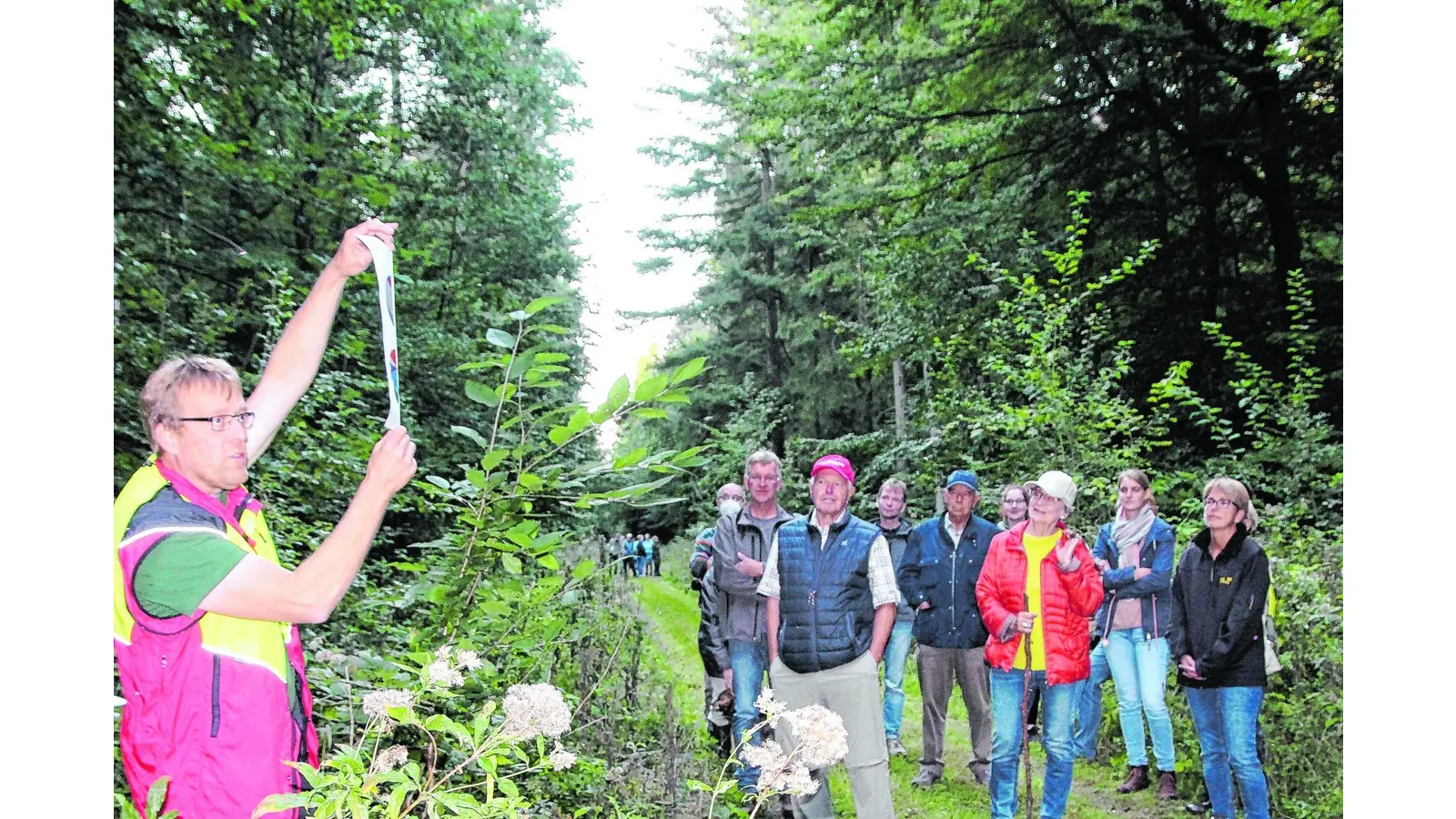 Förster verzeichnen großes Interesse (Foto: cs)