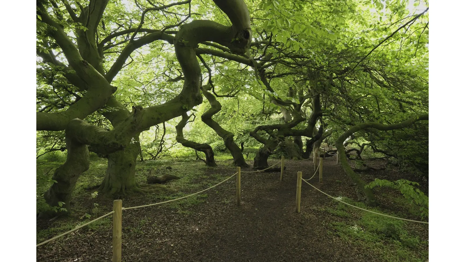 Es wird langsam Sommer in Bad Nenndorf (Foto: jb)