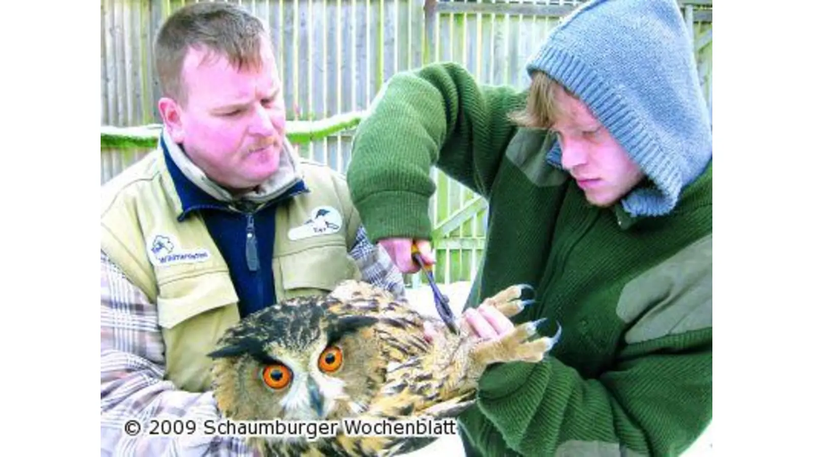 Wildtierstation hilft mehr Tieren (Foto: mk)