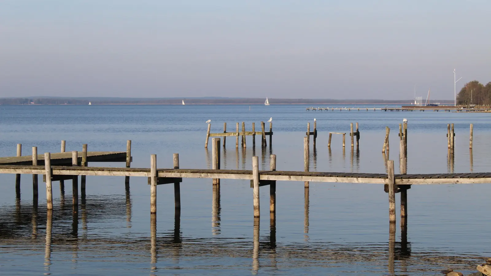 Der Blick aufs Meer: Doch auch die Vorgänge unter der Wasseroberfläche sind interessant. (Foto: wb)