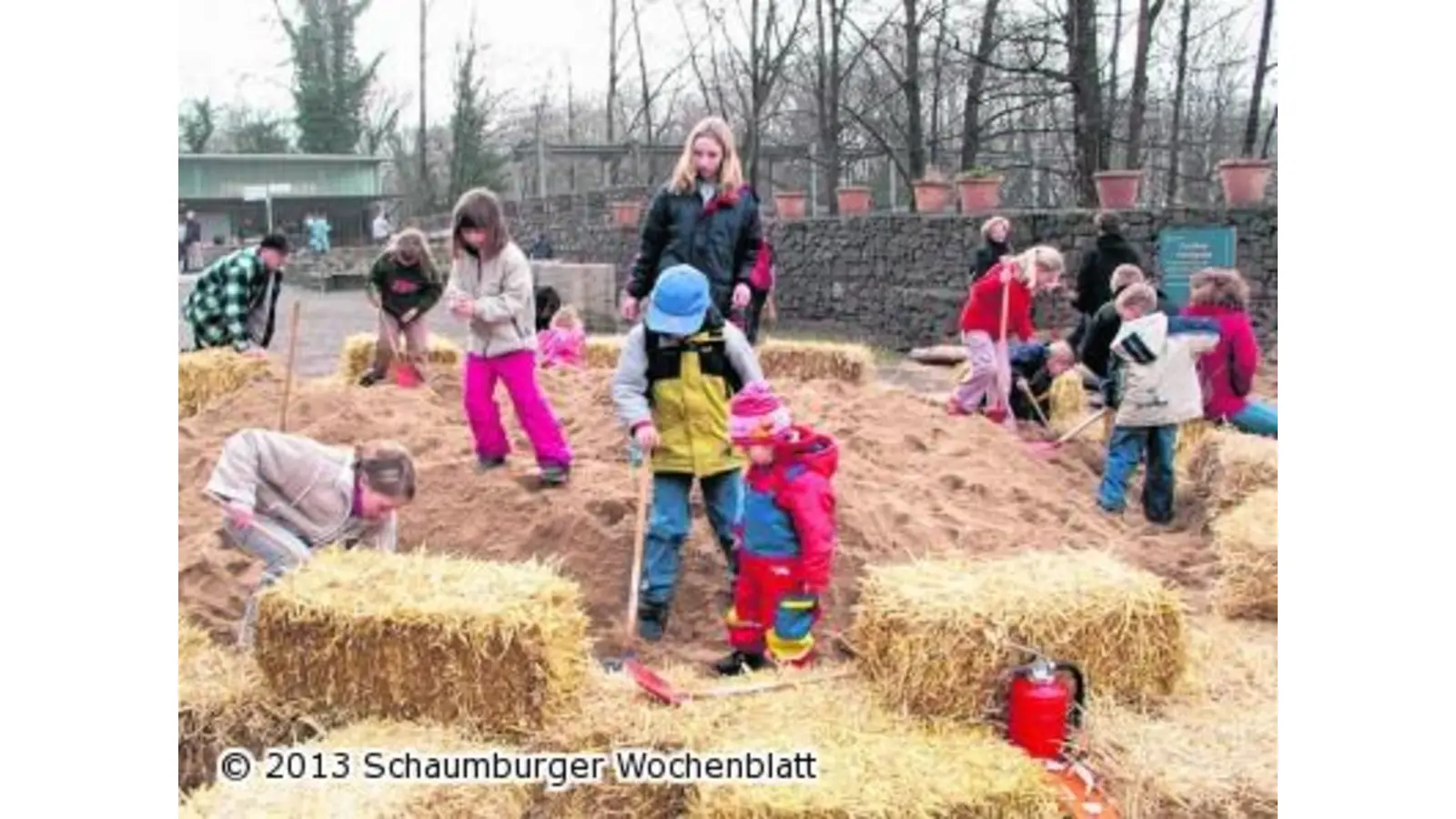 Von einem Gummibärchen-Orakel bis hin zu Hufeisen und Glücksbringern (Foto: km)