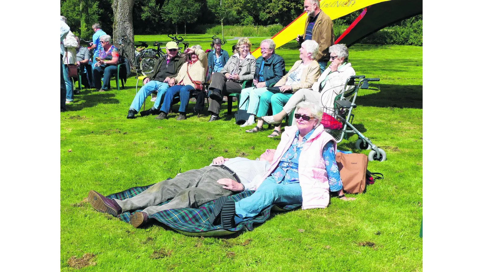 Bekanntschaften auf grüner Wiese (Foto: al)