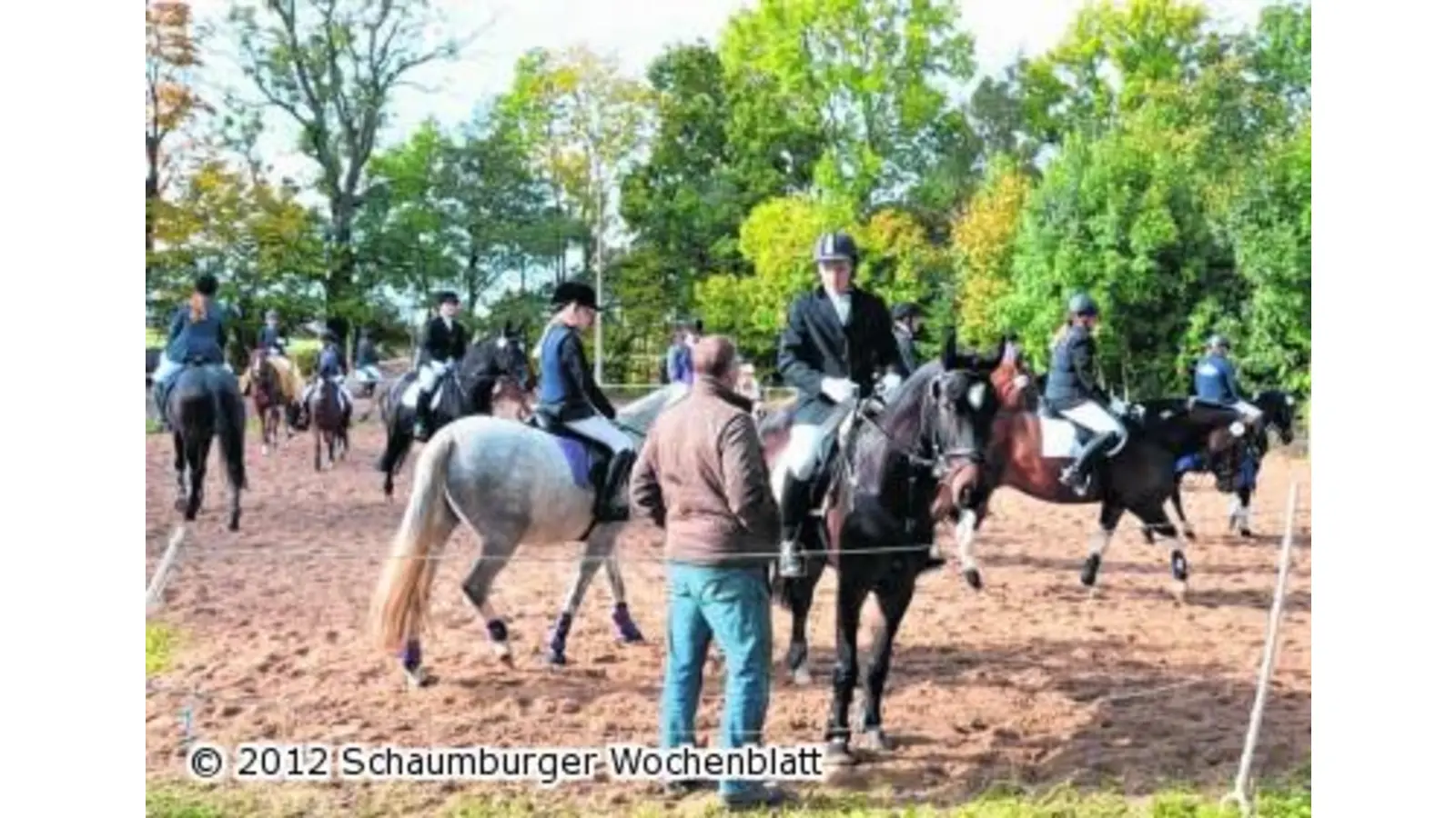 500 Pferdesportler strömen zum Turnier auf Eichhöfe (Foto: bt)