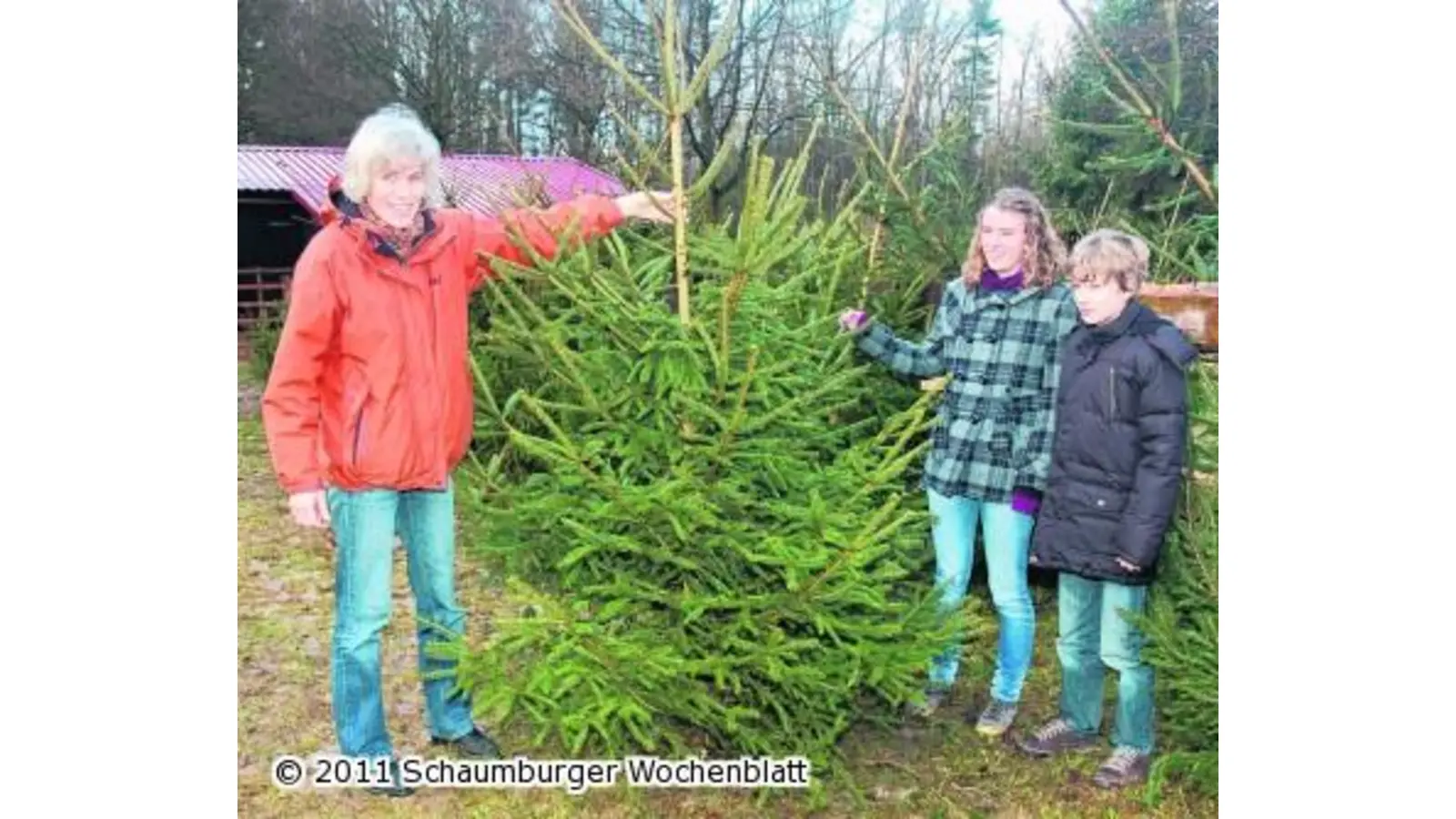 Der Kauf des Weihnachtsbaums wird zu einem Familien-Ereignis (Foto: red)