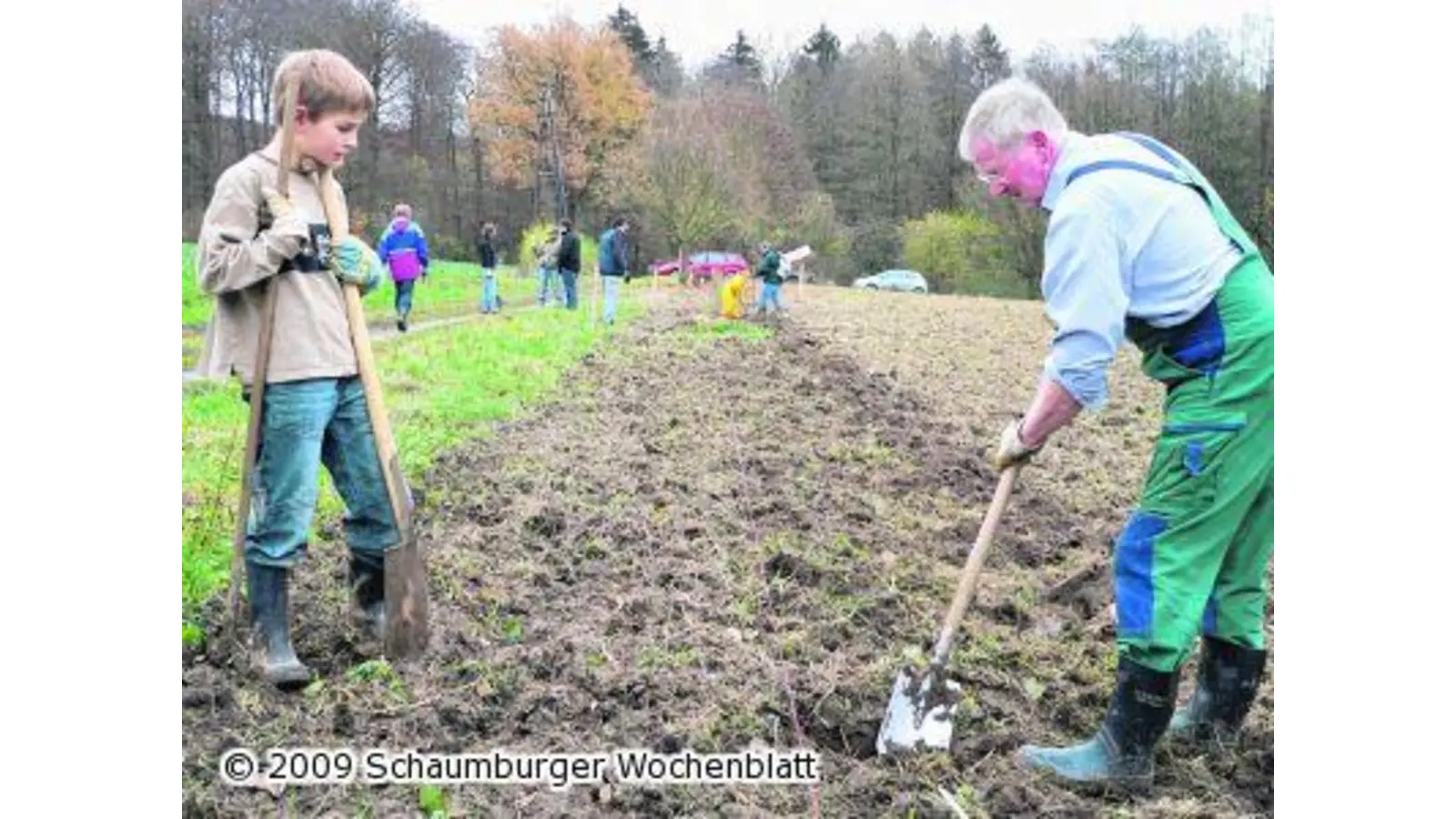 Eine Oase zwischen Ackerflächen (Foto: al)
