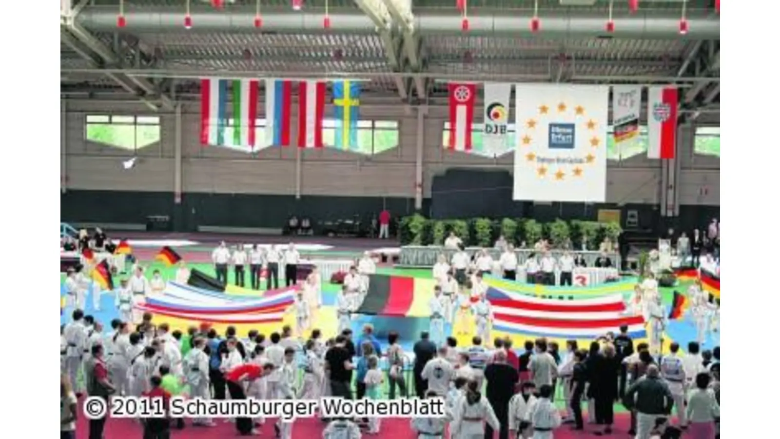 Judoka vom Pech verfolgt (Foto: al)