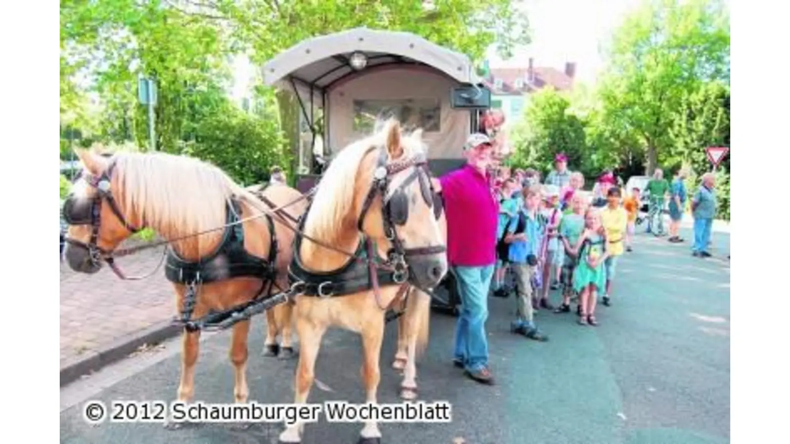 Mit der Kutsche durch den Schaumburger Wald (Foto: red)