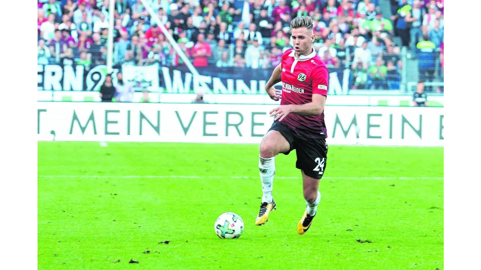 96 will die Wölfe in den Keller schubsen (Foto: bb)