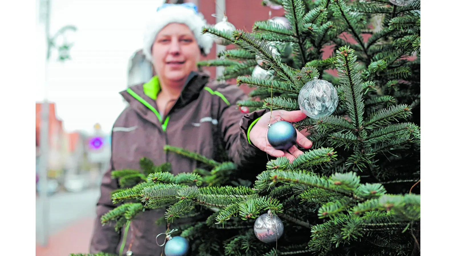 Die Weihnachtsbäume werden immer kahler (Foto: red)