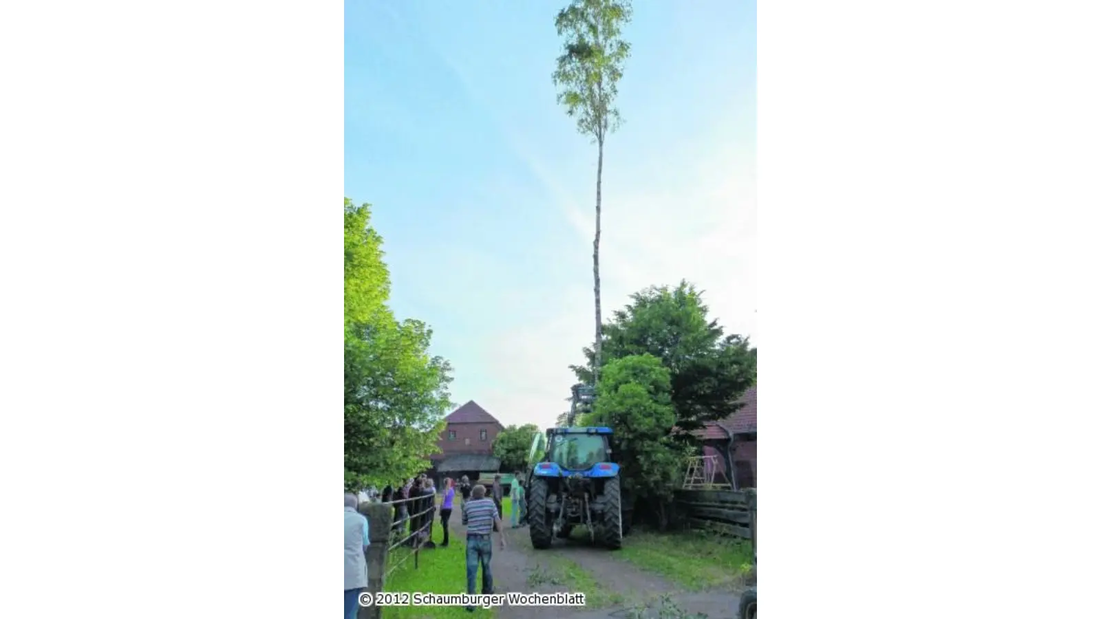 Aufwendige Handarbeit bringt das Prachtexemplar zum Stehen (Foto: red)