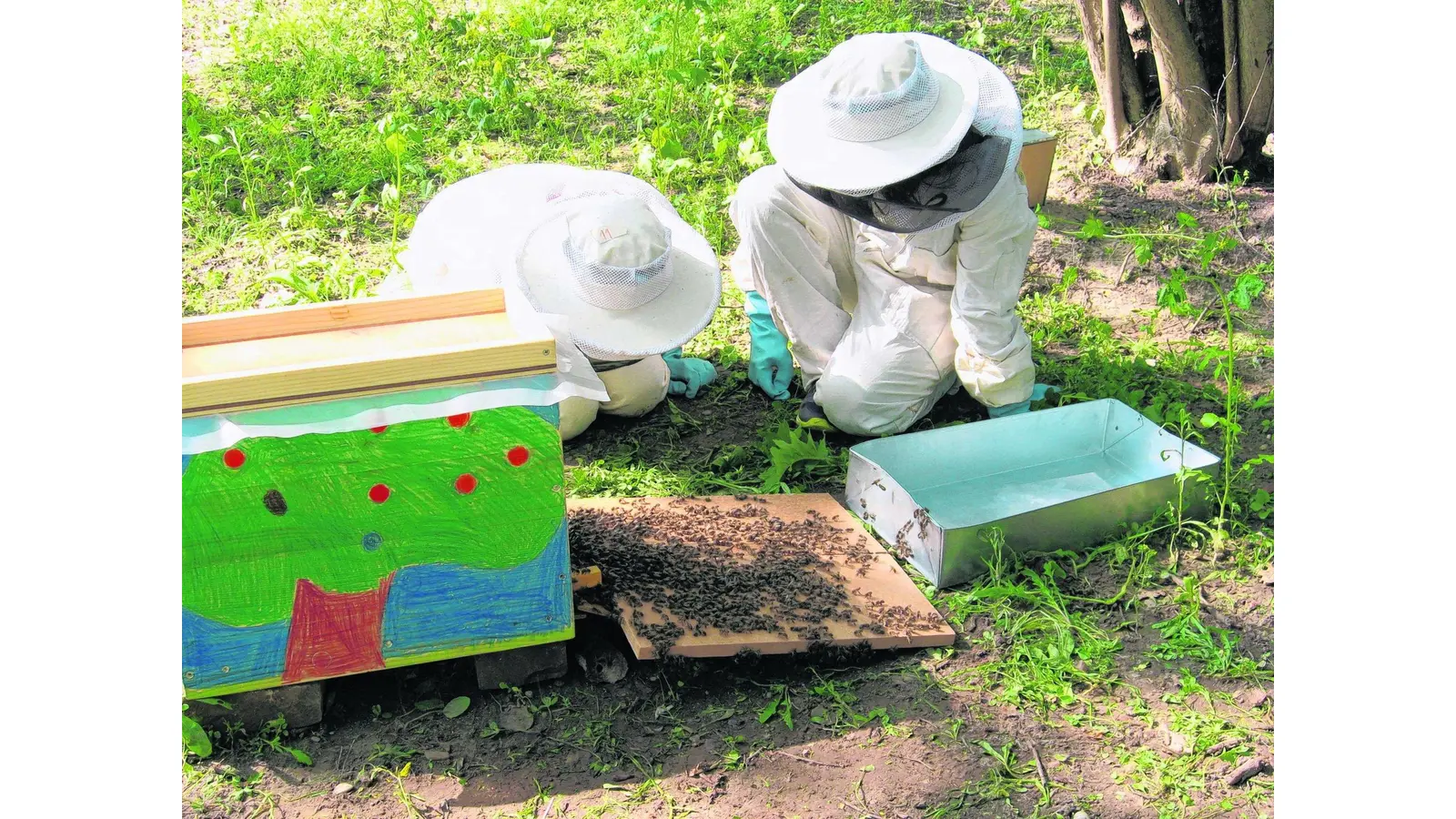 Ein echtes Paradies für Tiere (Foto: mk)