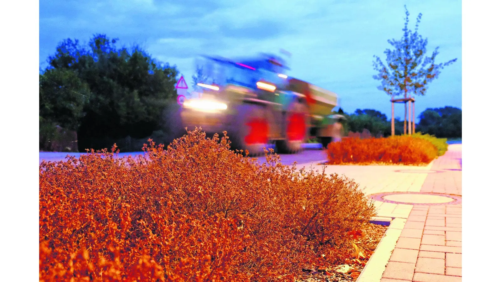 Braune Beete sind den Riepern ein Dorn im Auge (Foto: red)