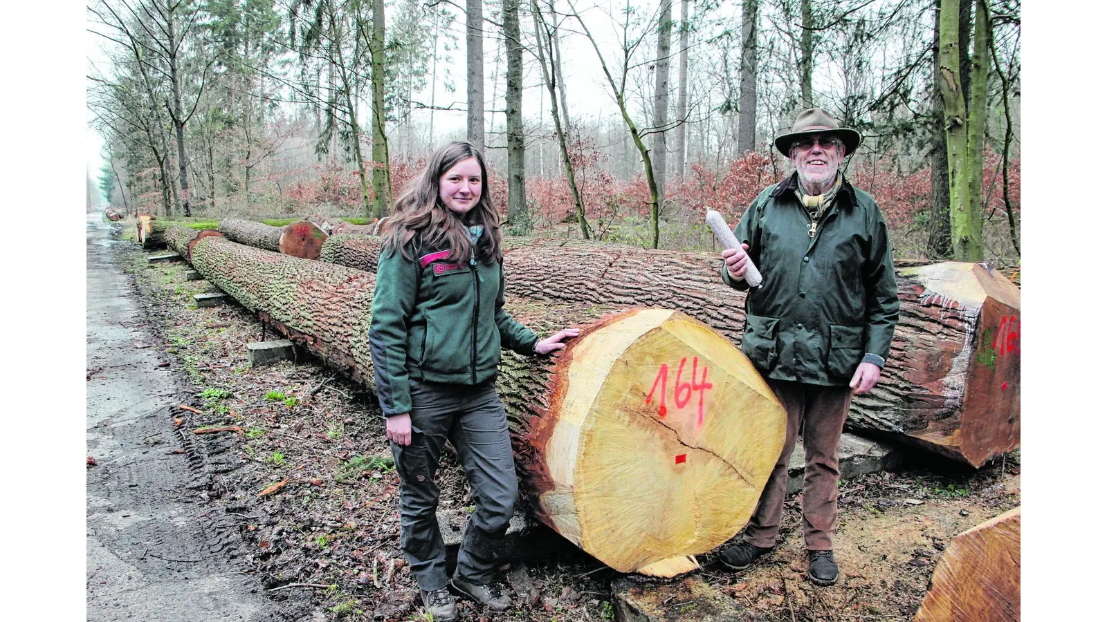 Hochwertiges Schaufenster in die Forstregion (Foto: nh)