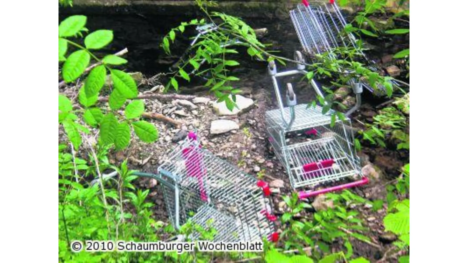 Einbruch in Getränkemarkt ist aufgeklärt (Foto: red)