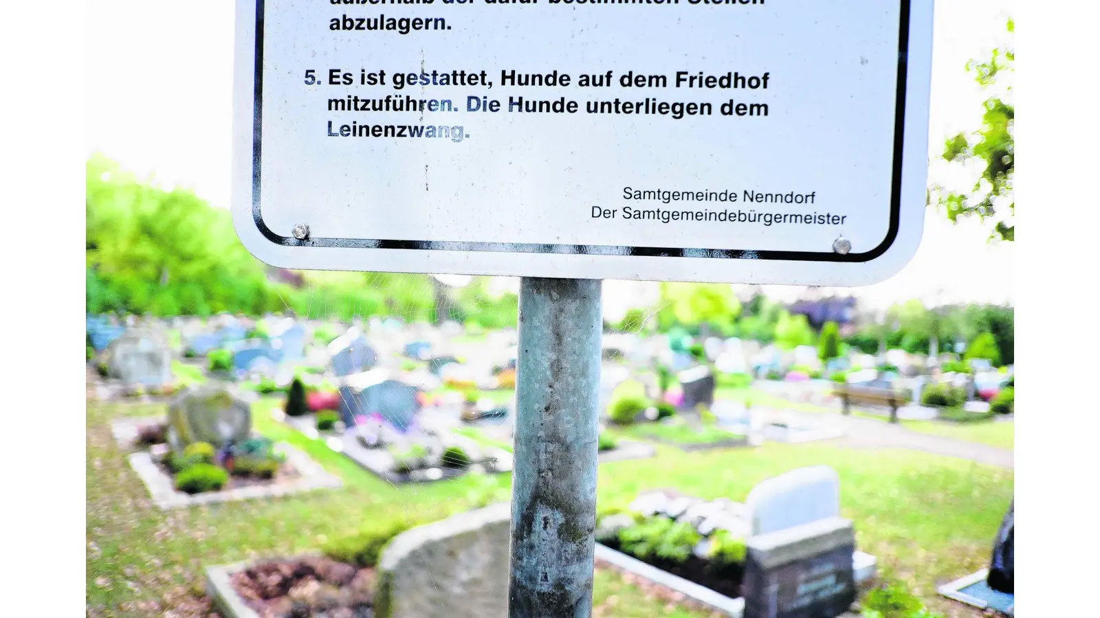 Hunde dürfen auf den Friedhof (Foto: tr)