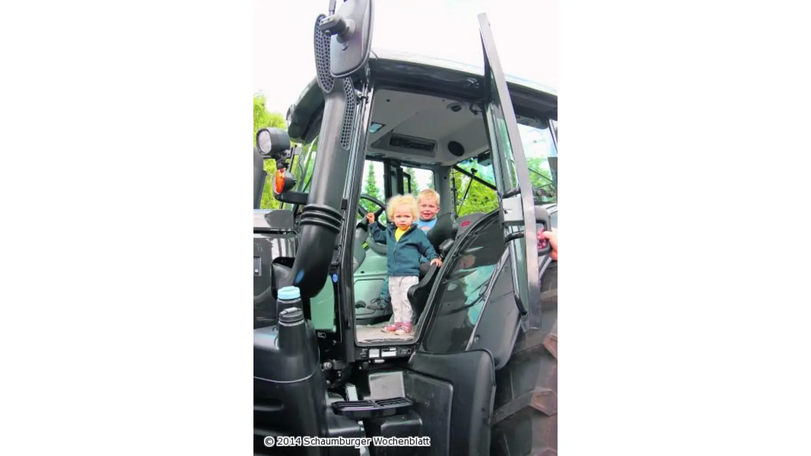 Wie aus einem Stamm ofenfertiges Brennholz wird (Foto: jl)