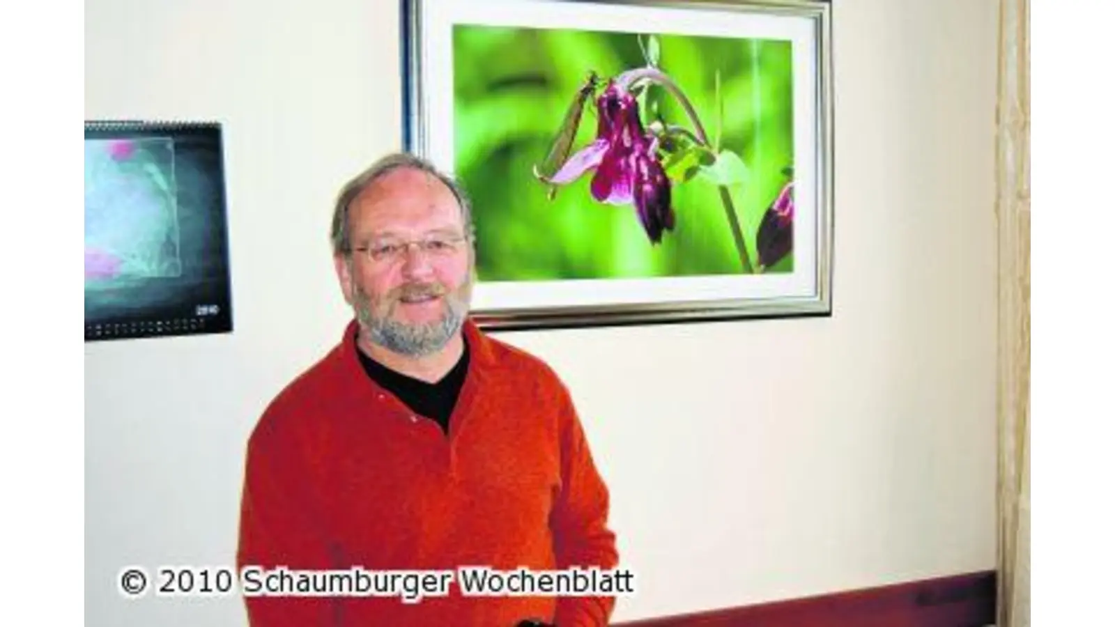 Spinnen sonnen sich gern (Foto: red)