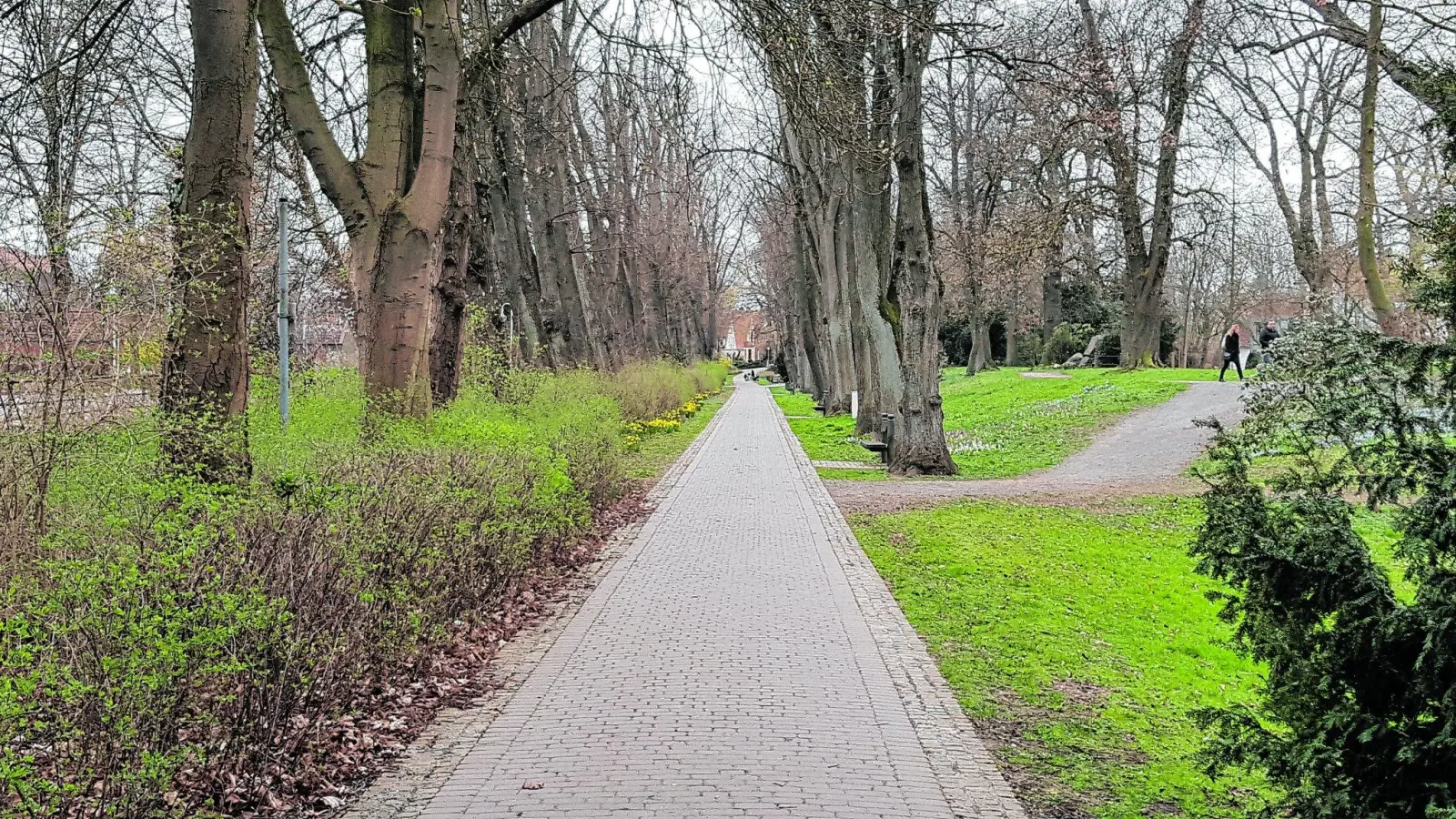 Blumenwall Teil des Radwegekonzepts (Foto: ste)