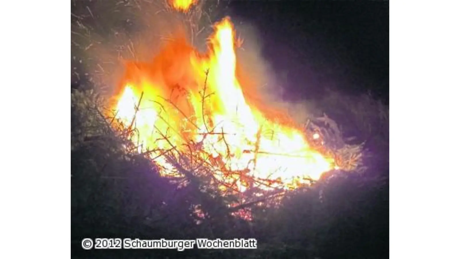 Tannenbäume brennen lichterloh (Foto: wtz)