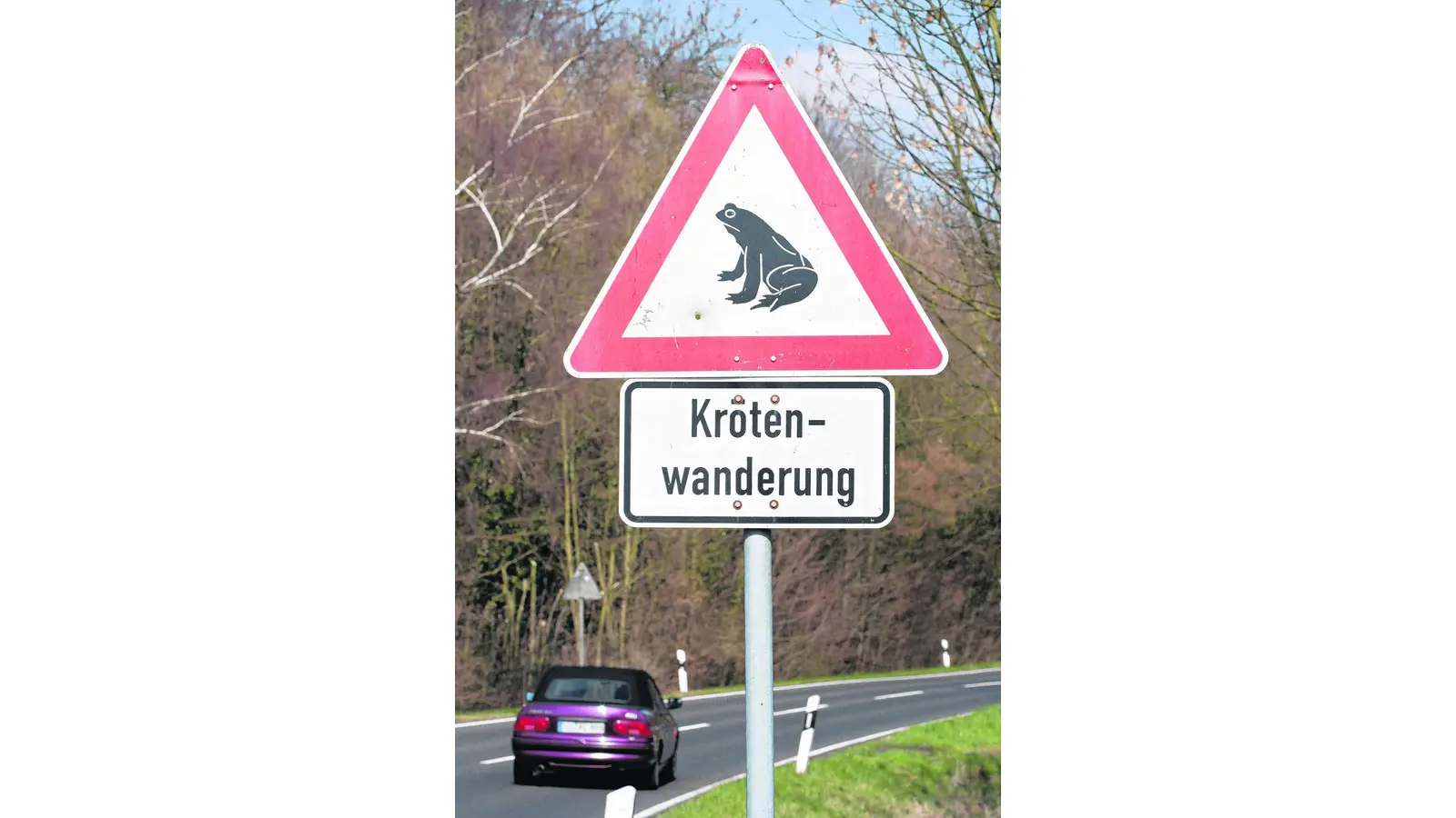 Schutz für Frosch und Kröte auf Wanderung (Foto: bb)