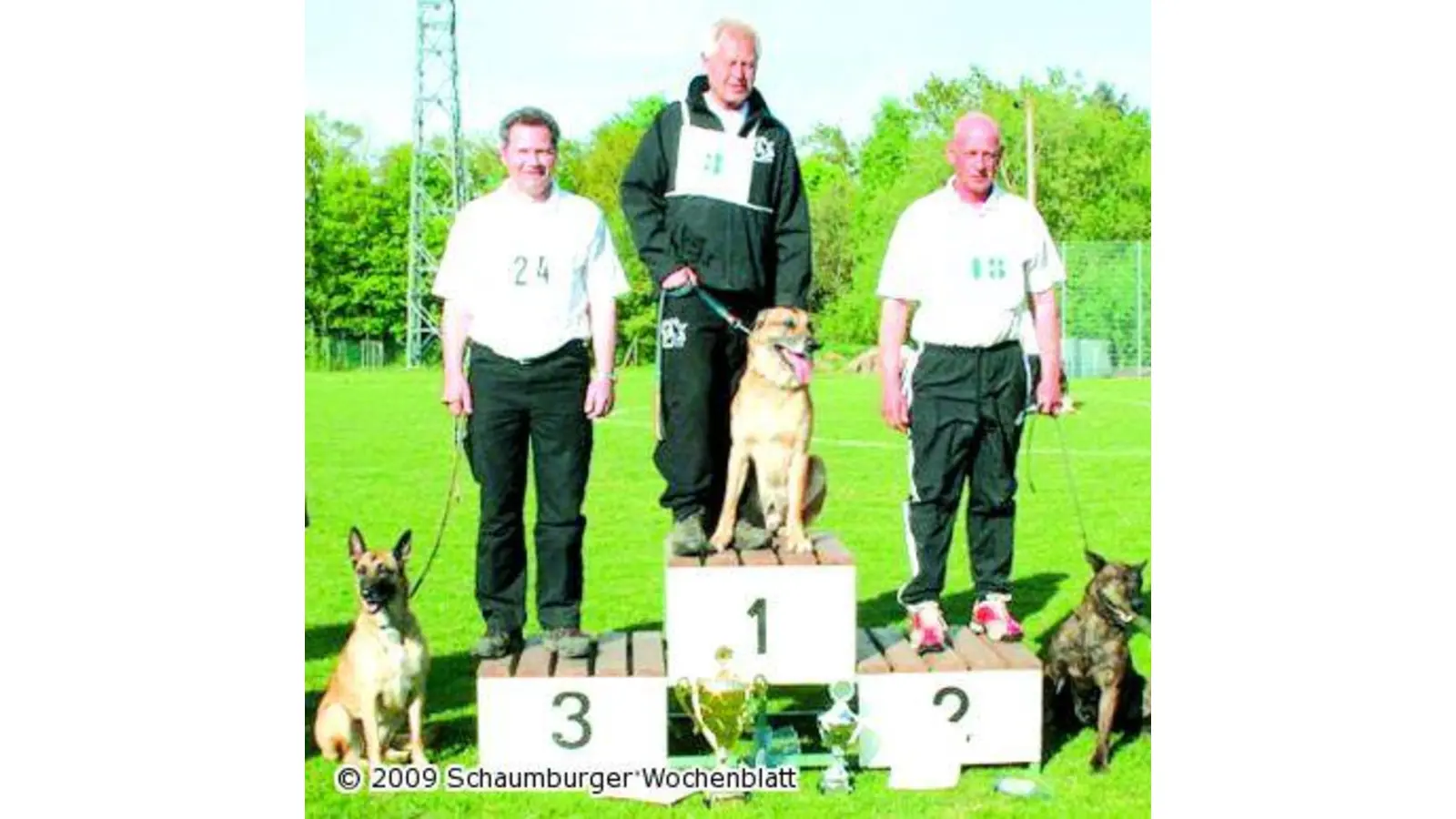 Landesverbandssieger kommt aus Schaumburg (Foto: mk)
