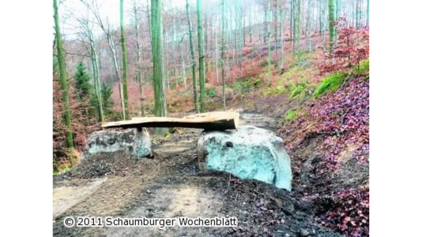 Rutschung beschädigt den Gänseeiweg (Foto: em)