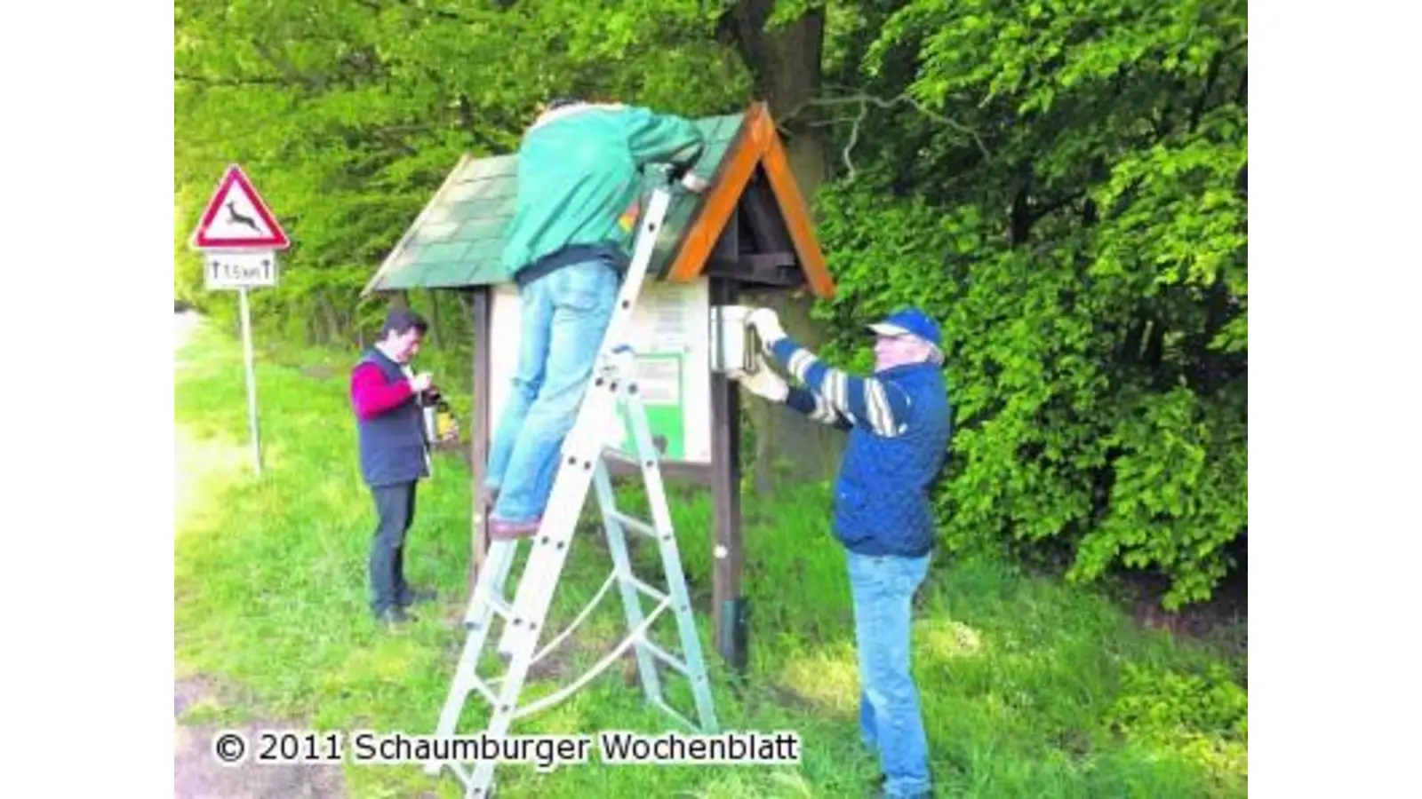 Acht Ratskandidaten (Foto: em)