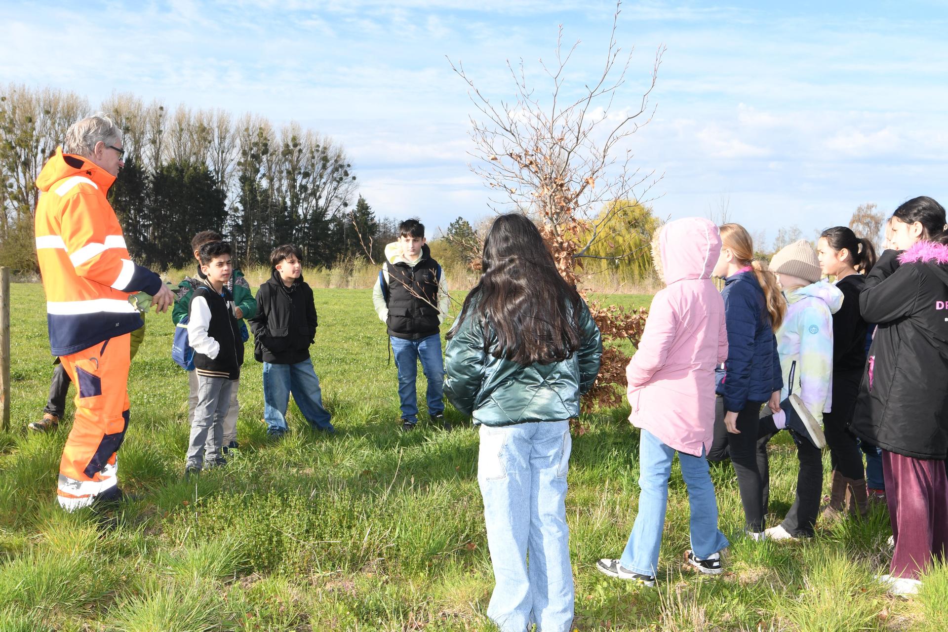 Pflanzung einer Süntelbuche am Kraterzoo-Gelände. (Foto: nd)