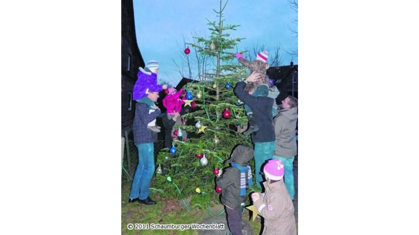 Am Weihnachtsbaum die Lichter brennen (Foto: red)