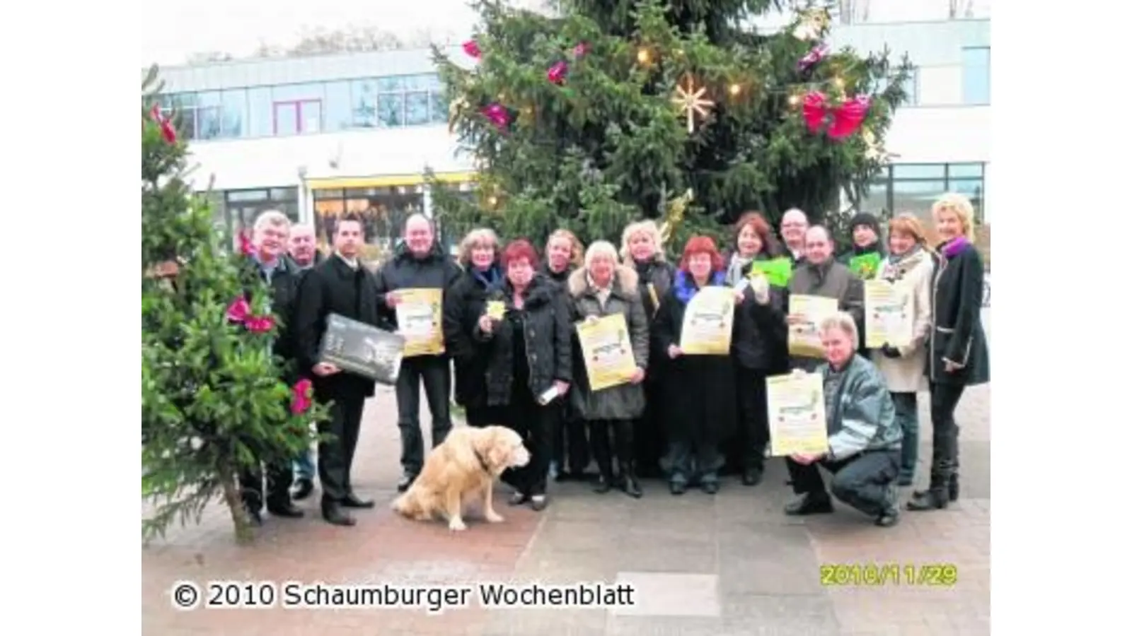 Tannenbäumchen brillieren festlich in der Kurstadt (Foto: red)