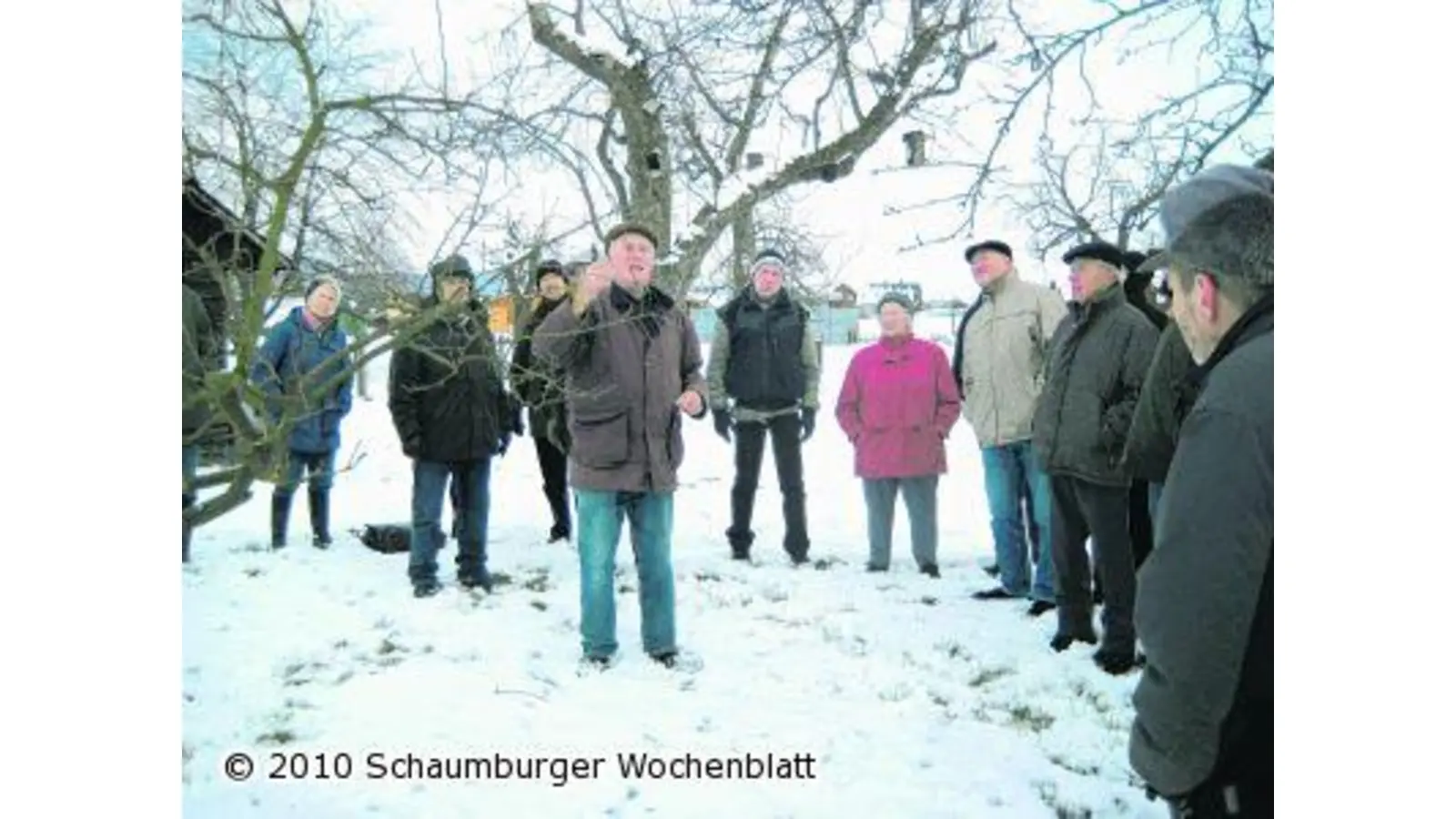 Richtiger Obstbaumschnitt ist wichtig (Foto: ste)