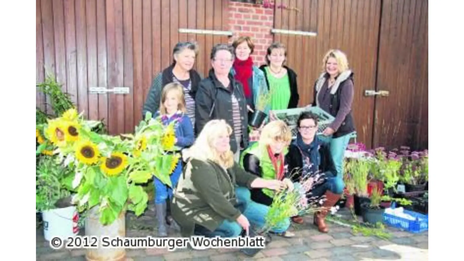 Klein aber fein (Foto: gi)