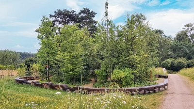 Das Zukunftswäldchen als Miniwald auf der LaGa - Ansporn für alle. (Foto: gk)