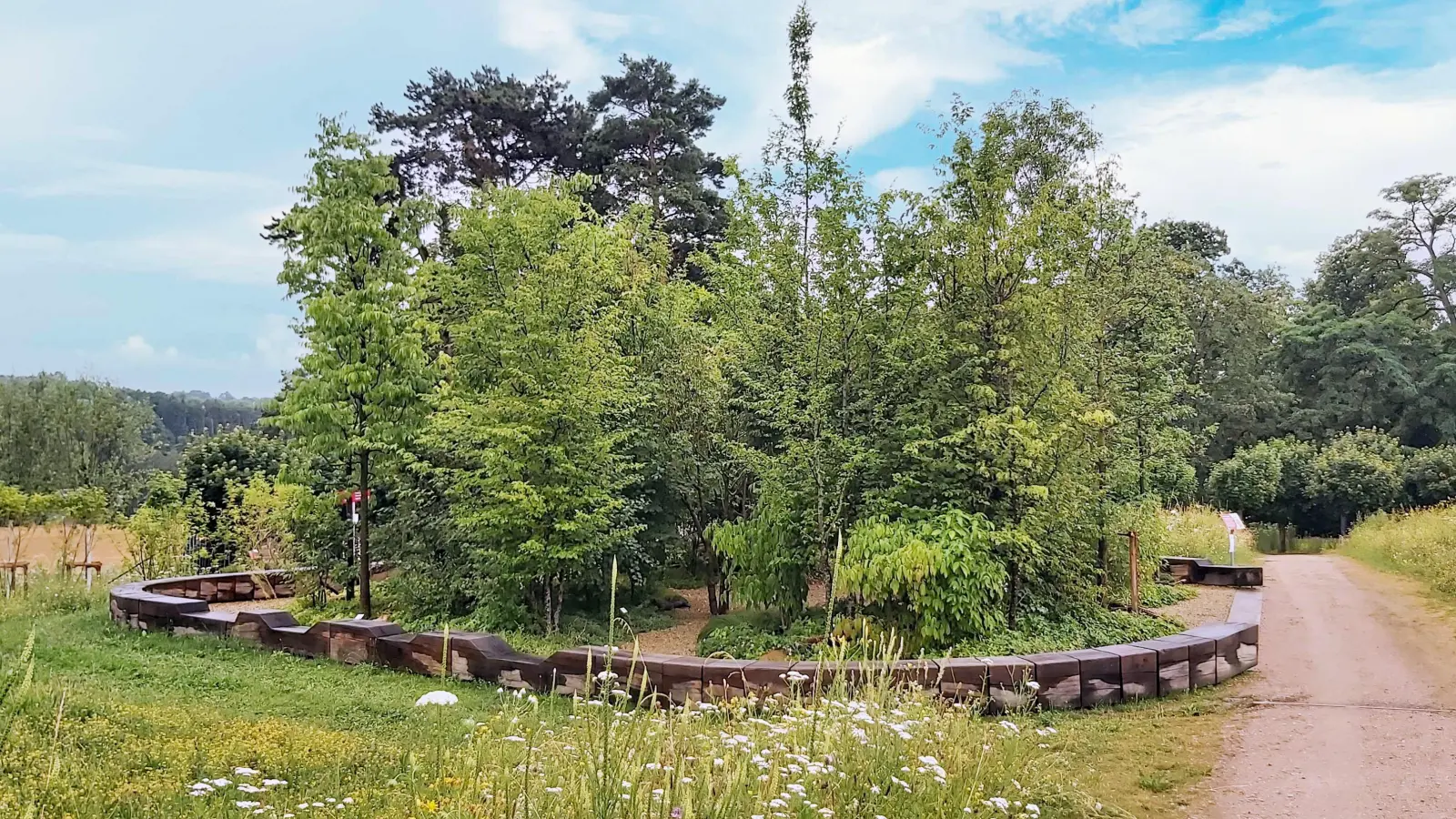 Das Zukunftswäldchen als Miniwald auf der LaGa - Ansporn für alle. (Foto: gk)