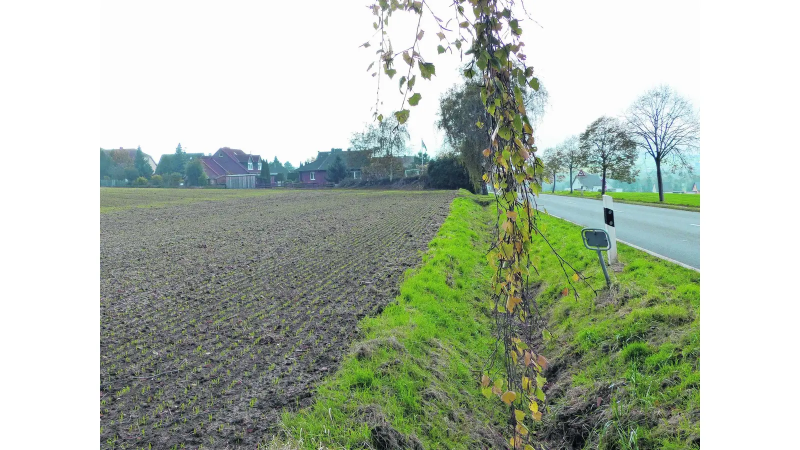 Nur um Fußweg entbrennt ein Streit (Foto: al)