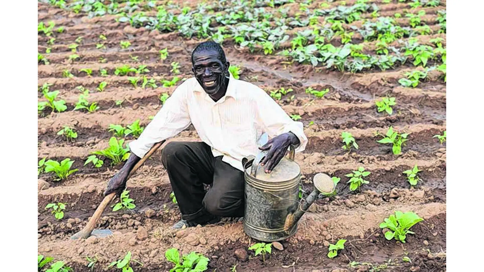 Bewässerungssysteme für eine bessere Ernährung der Menschen in Malawi (Foto: em)