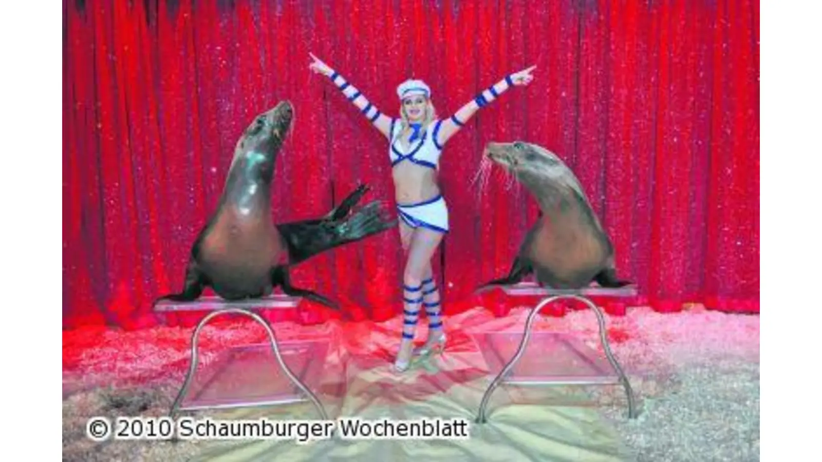 Zirkus in die Wiege gelegt (Foto: red)