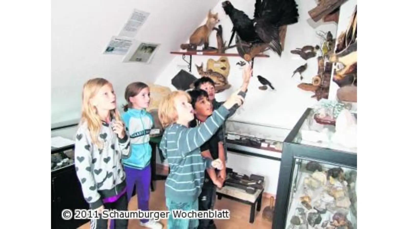 Entdeckertour durch das Heimatmuseum (Foto: tt)