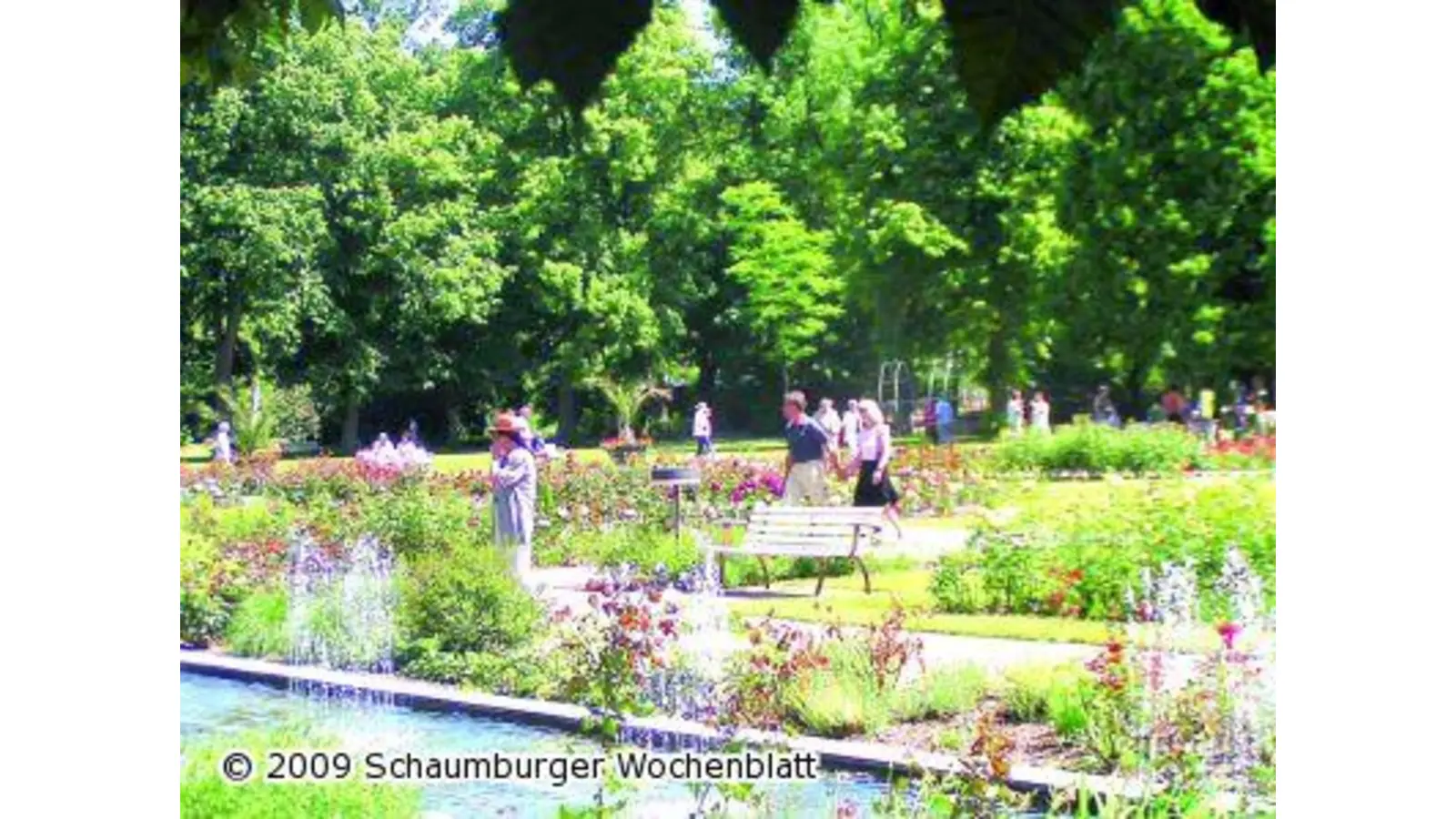 Kurparkfest zur Rosenblüte (Foto: red)