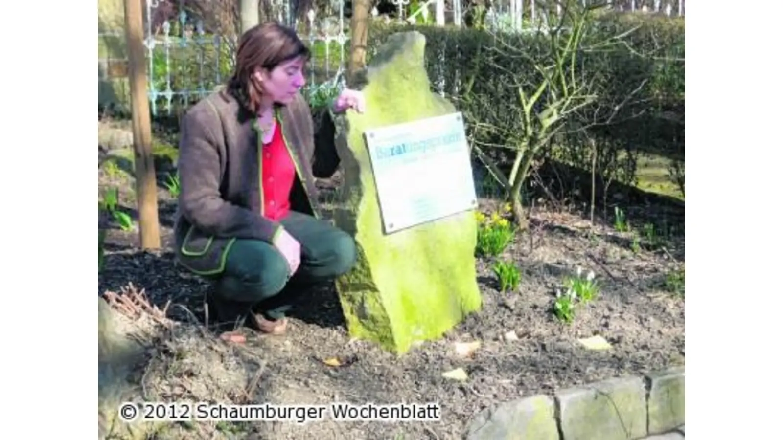 Zum zweiten Mal die Frühblüher entwendet (Foto: em)