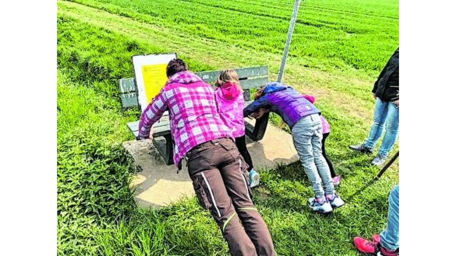 Bewegung tut gut (Foto: red)