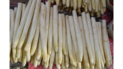 Dieser Spargel vom Stadthäger Wochenmarkt muss nach geschält werden. (Foto: ab)