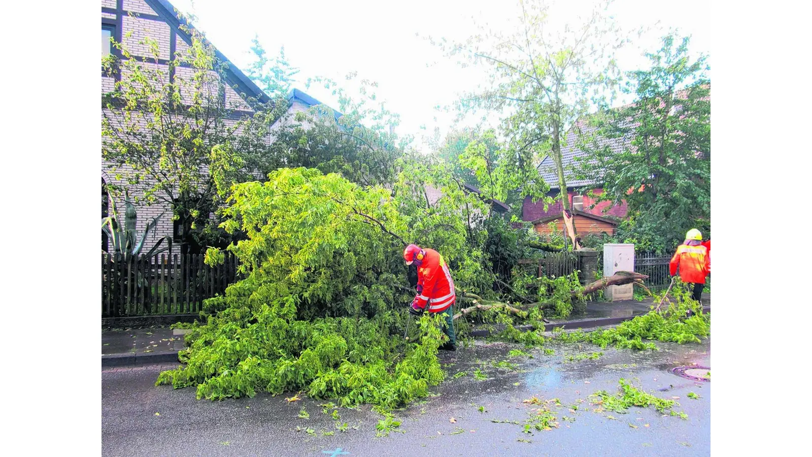 Umgestürzte Bäume behindern den Verkehr (Foto: em)