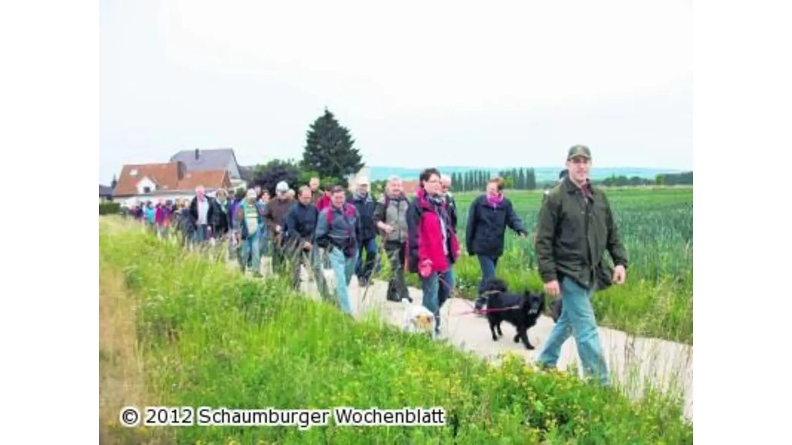 MTV veranstaltet Wandertag (Foto: em)