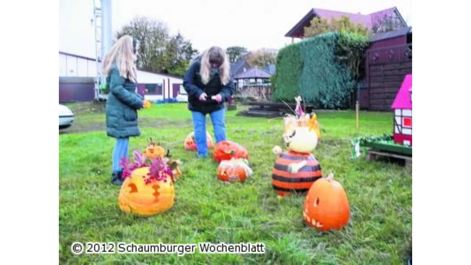 Herbstferien verringern die Kürbis-Vielfalt (Foto: al)