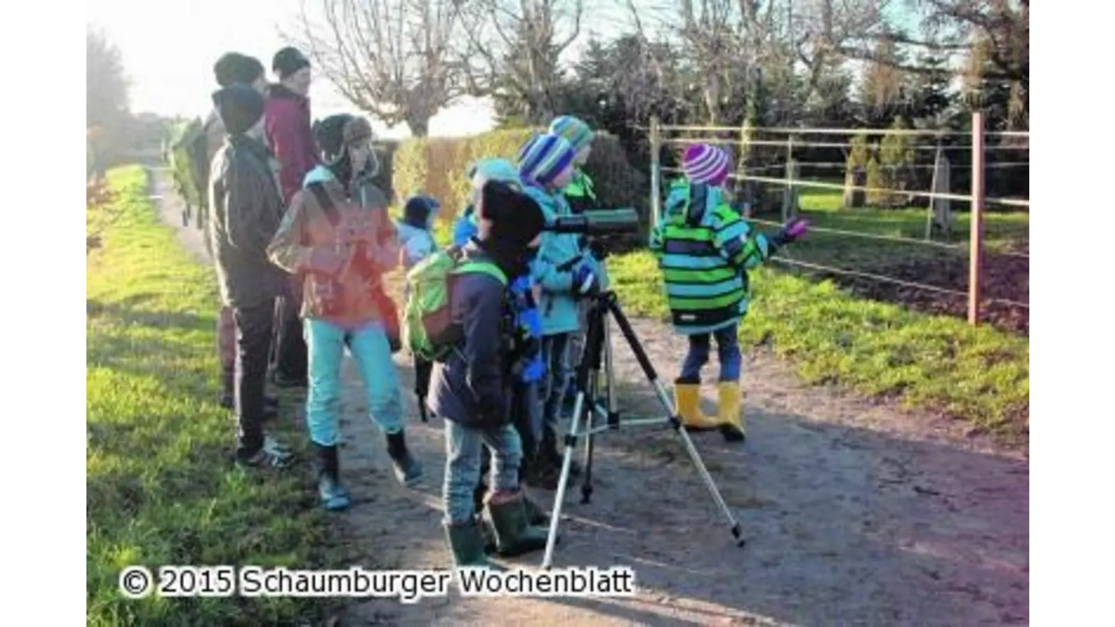 Auf Spurensuche in der winterlichen Natur (Foto: ste)