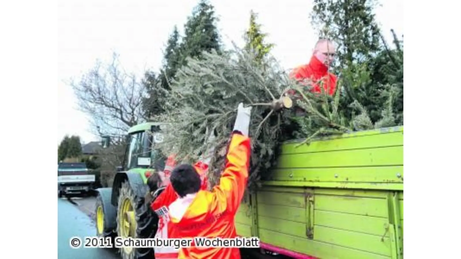 Weihnachtsbäume brennen am Gerätehaus (Foto: bb)