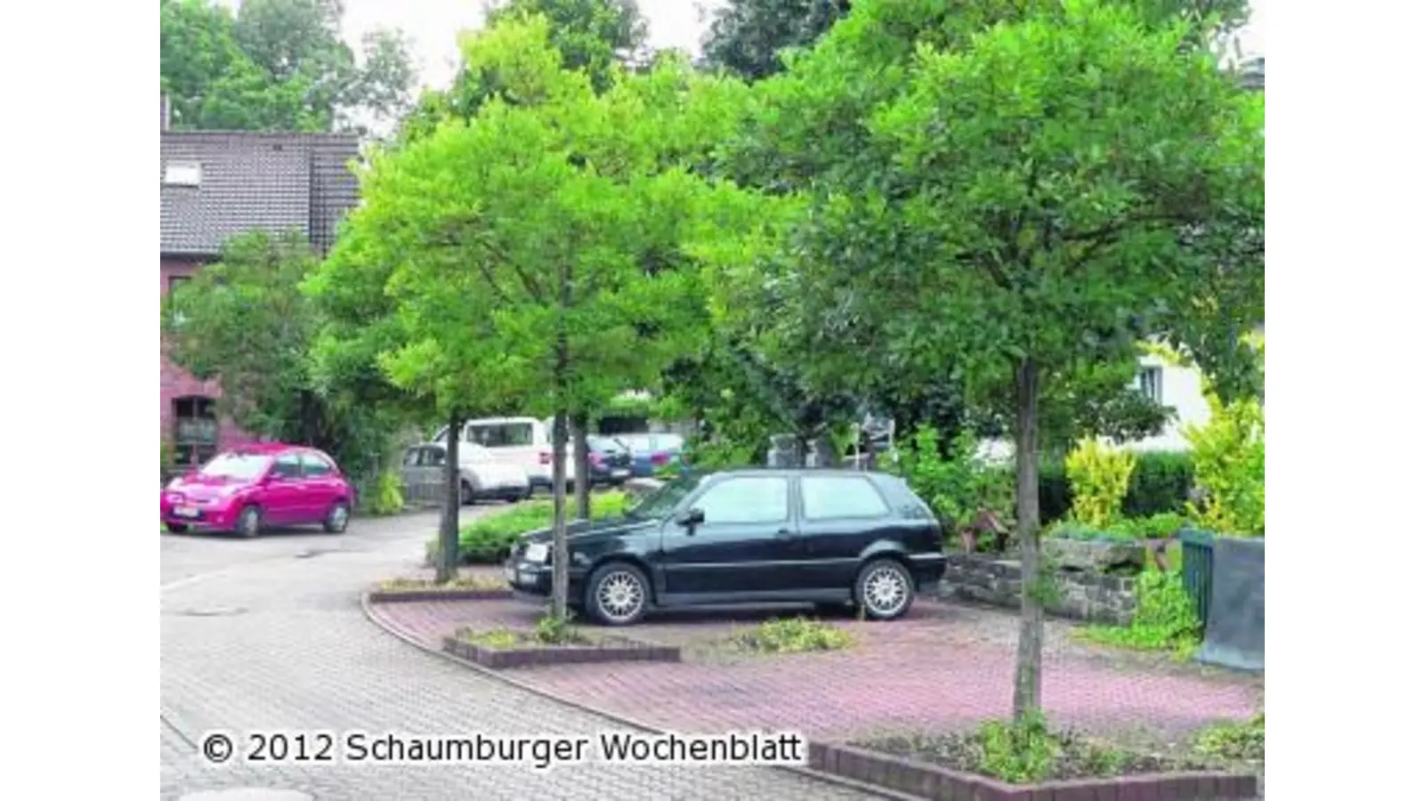 Nur ein Baum muss für mehr Autos fallen (Foto: al)