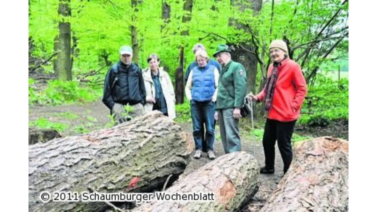 Förster führt durch den Deister (Foto: em)