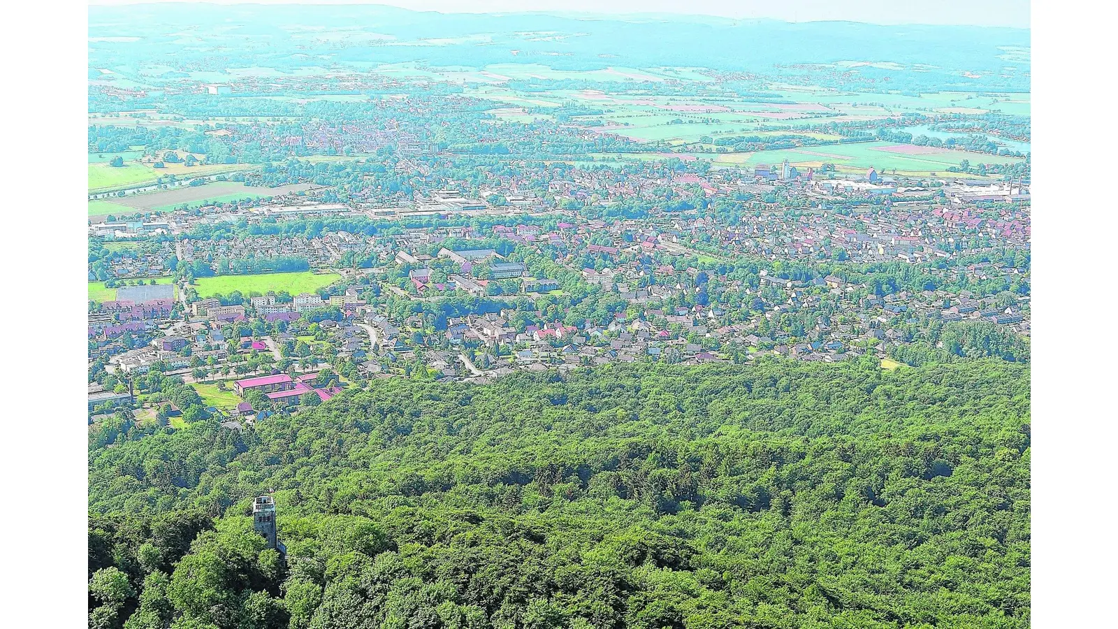Kein Haltverbot in der Waldkaterallee (Foto: red)